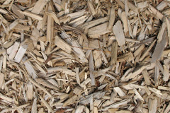 biomass boilers Ormeau